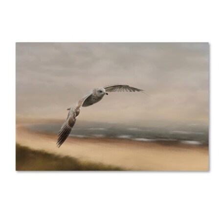 Jai Johnson 'Gull At The Shore' Canvas Art,30x47